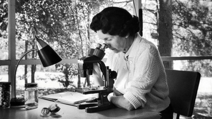 Rachel Carson y su llamado de alerta al uso de pesticidas