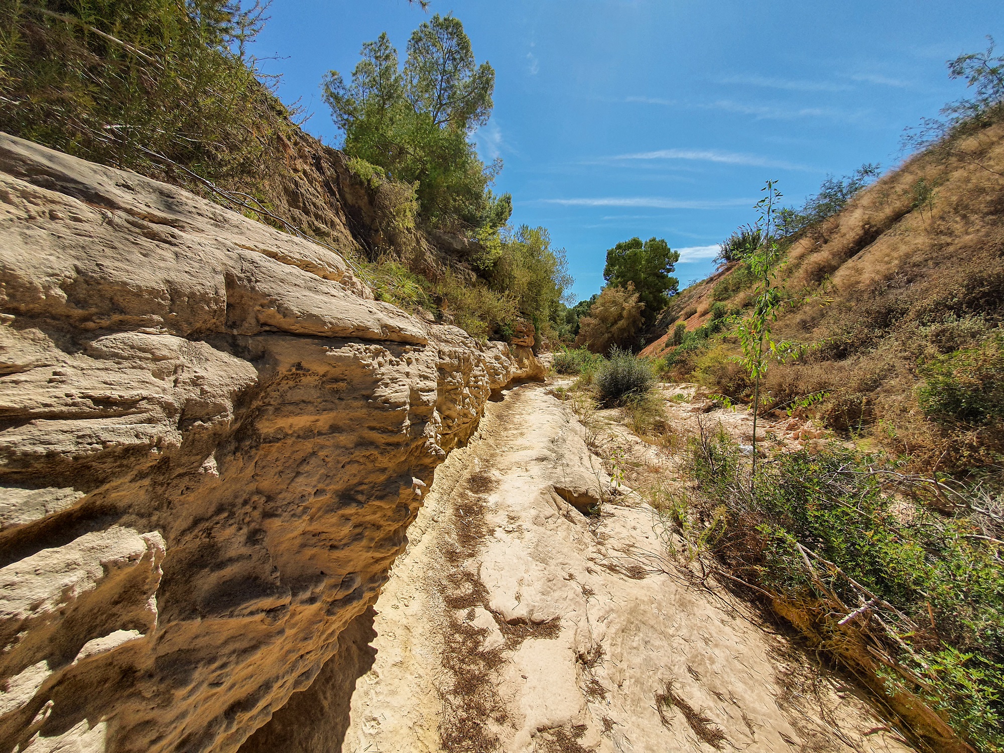 Paulina Mühlmann: pionera en la geología argentina de campo